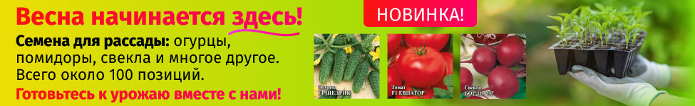 Семена для проращивания Семена для проращивания